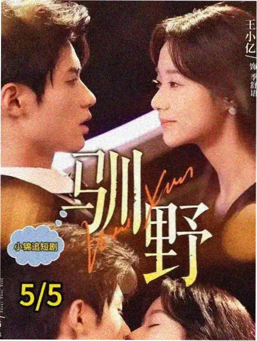 收藏榜第二作品海报